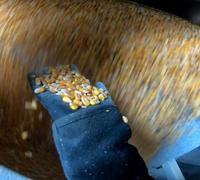 ΠΕΡΙΣΤΡΟΦΙΚΟ ΚΟΣΚΙΝΟ